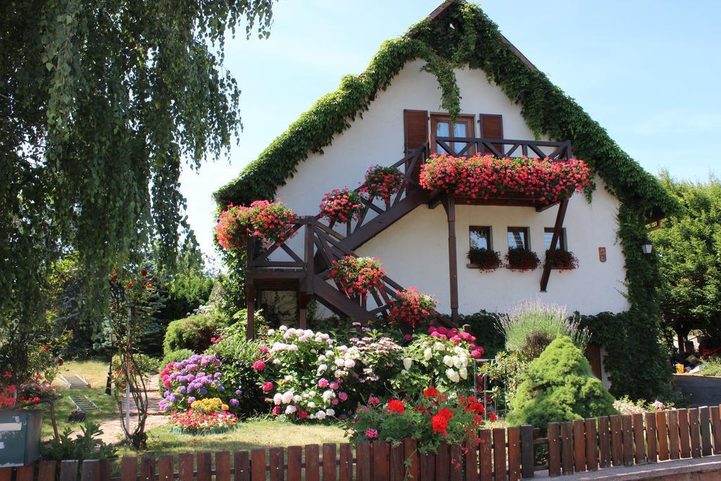 Apartment Route Du Vin Centre Alsace Orschwiller Room photo
