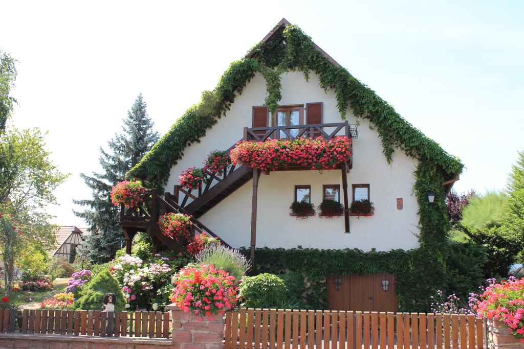 Apartment Route Du Vin Centre Alsace Orschwiller Room photo